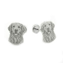 Twin Dog Photo