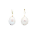 Earrings Smooth Niza