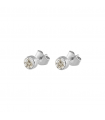 Round zirconia earrings