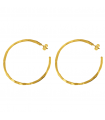 Gold Hammered Hoop Earrings