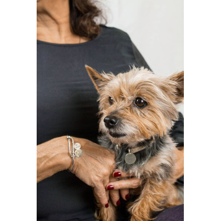 Chapita personalizada correa de perro