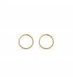 Gold Hoop earrings