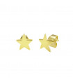 Pendientes Estrella Gold