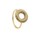 Anillo Hole