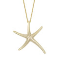 Starfish Choker