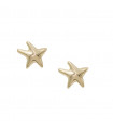 Pendientes Estrella de Mar