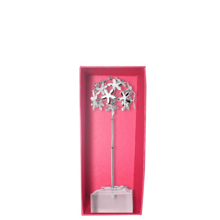 Biznaga pequeña II – Biznaga plata – vista 2