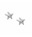 Silver earrings, Starfish