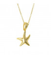 Golden Choker, Small Starfish