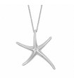 Silver Choker, Starfish