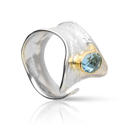 Anillos de plata y oro