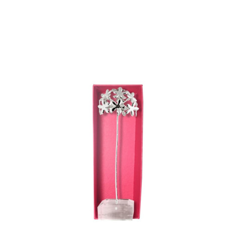 Biznaga pequeña – Biznaga plata – vista 2
