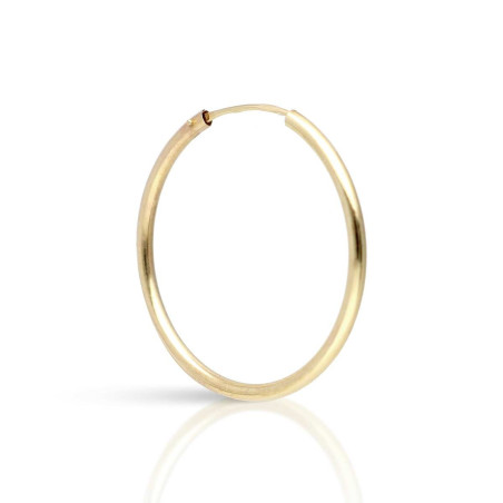 Gold hoop earrings