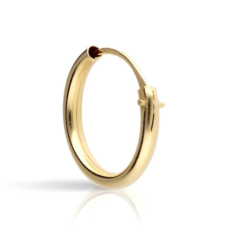 Small gold hoops earring