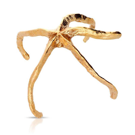 bracelet with gold starfish