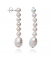 Australian Pearl Earrings