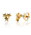 Triple Star Earring