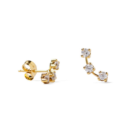 Gold Earrings with Zirconia